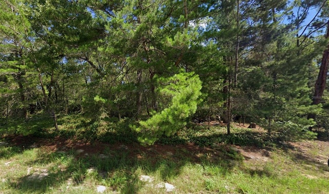 00 SW 176th St, Ocala FL, 34473 land for sale