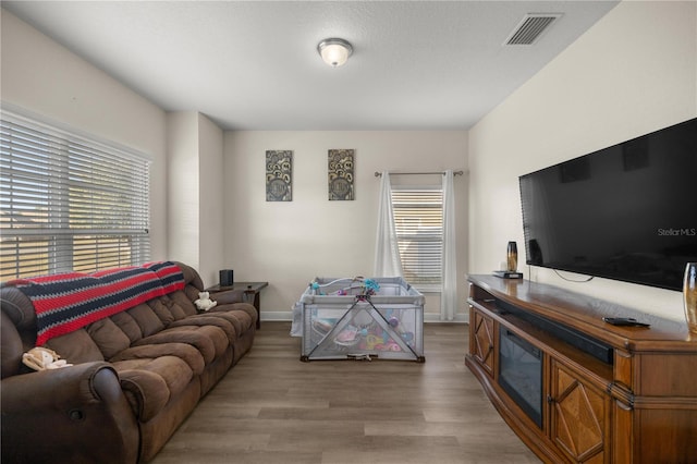 living room featuring a textured ceiling and light hardwood / wood-style flooring