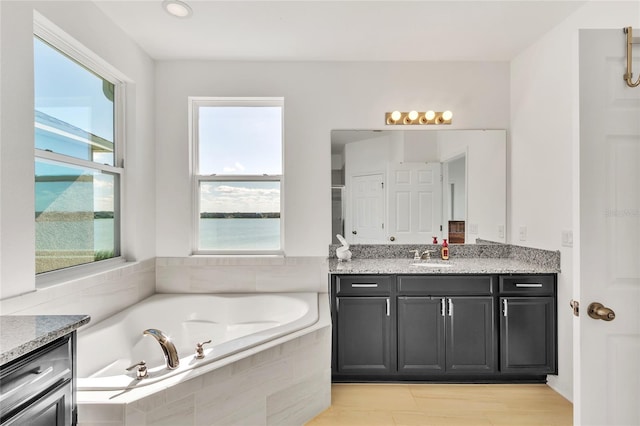 bathroom with vanity, a garden tub, and wood finished floors