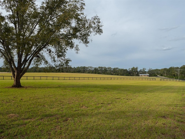 view of yard with a rural view