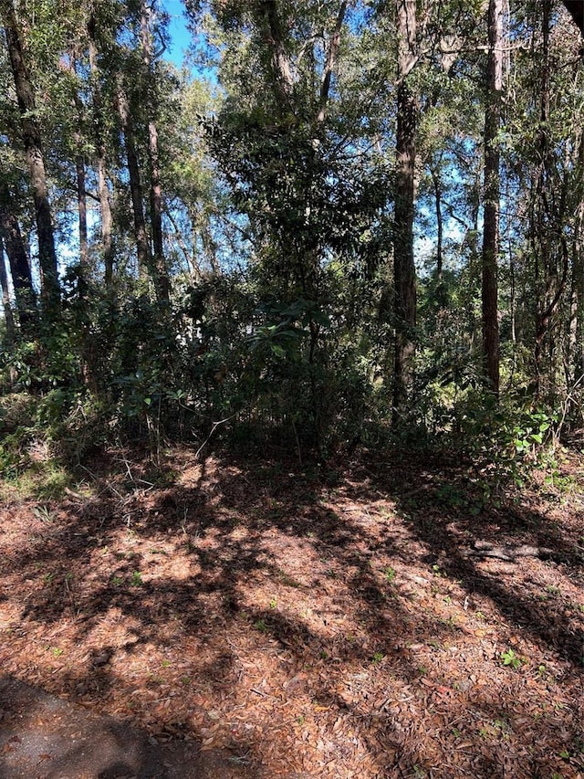 Listing photo 2 for TBA SW 91st Loop, Dunnellon FL 34432