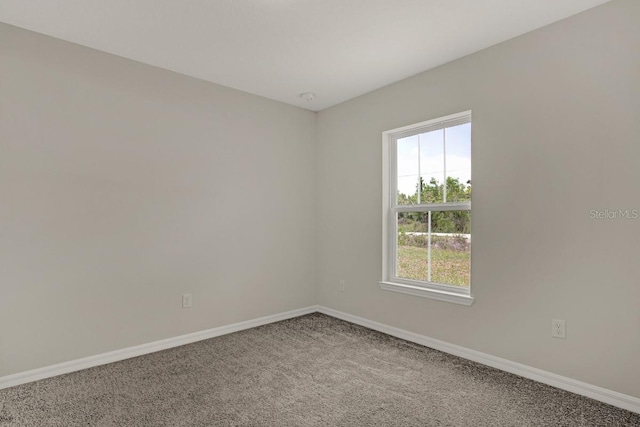 spare room with carpet floors and a wealth of natural light