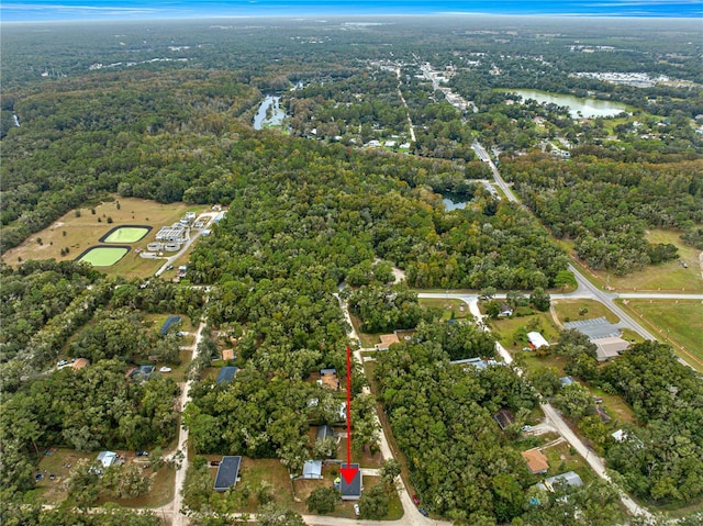 drone / aerial view with a water view and a view of trees