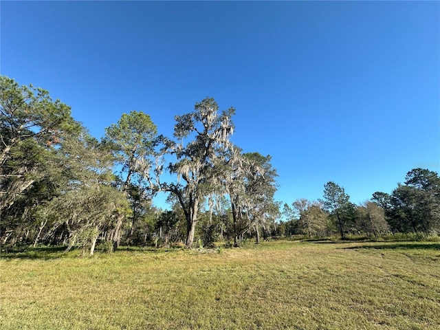 260AC NW 193rd St, Reddick FL, 32686 land for sale