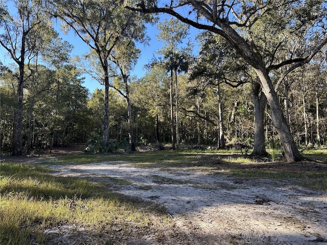 Listing photo 2 for 260AC NW 193rd St, Reddick FL 32686