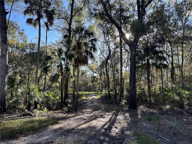 Listing photo 3 for 260AC NW 193rd St, Reddick FL 32686