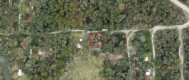 Listing photo 3 for LOTS1, 2 NE 170th St, Citra FL 32113