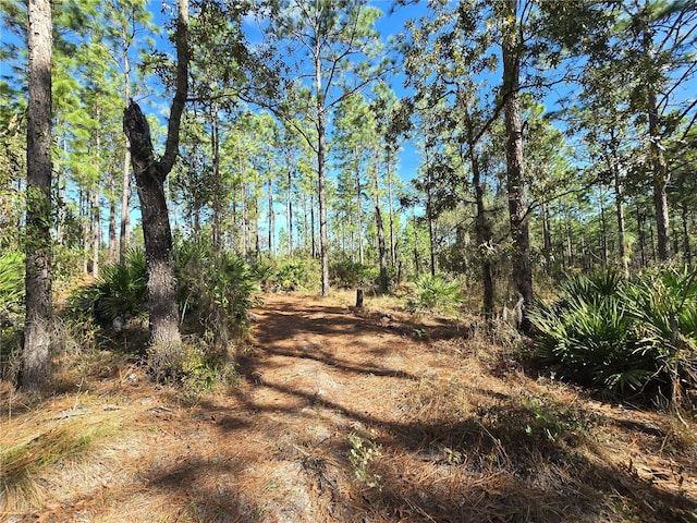 Listing photo 3 for 5449 N Smokey Mountain Pt, Crystal River FL 34428