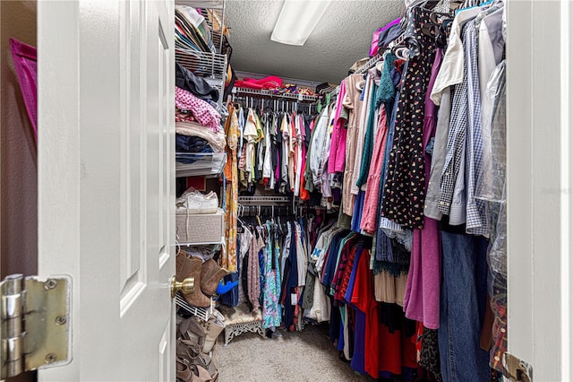 spacious closet with carpet floors