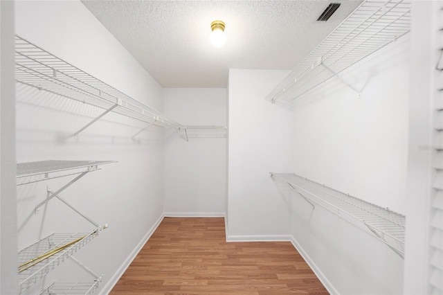 spacious closet with wood-type flooring