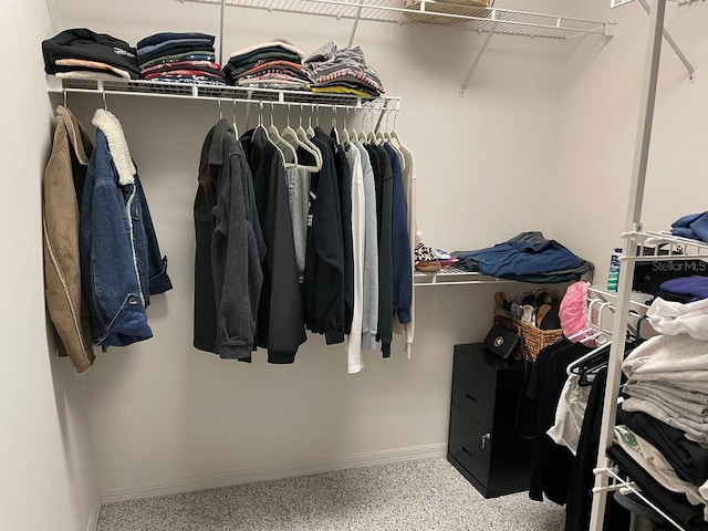 spacious closet featuring light carpet