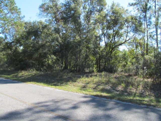 00 SE 169th Ct, Ocklawaha FL, 32179 land for sale