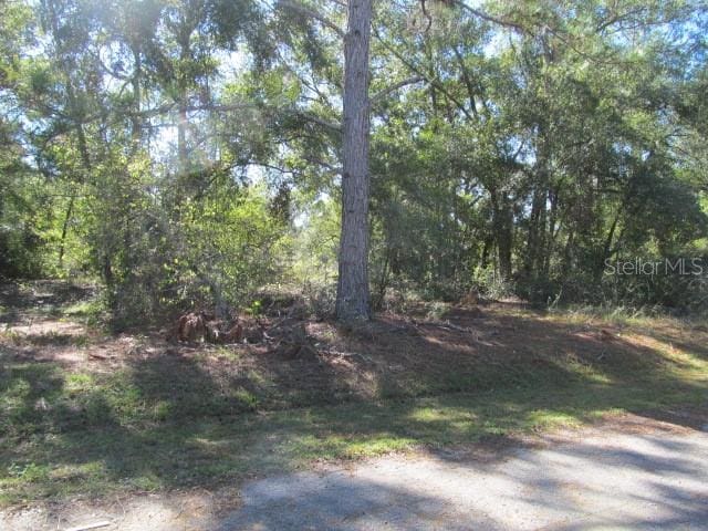 Listing photo 3 for 00 SE 169th Ct, Ocklawaha FL 32179