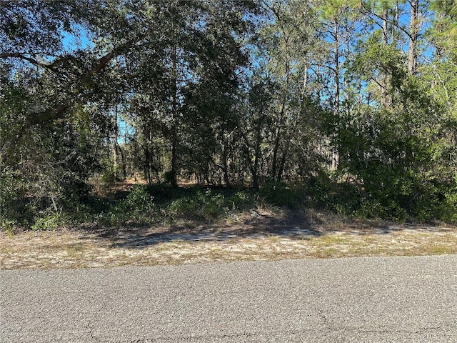 SE 133rd Ave, Dunnellon FL, 34431 land for sale