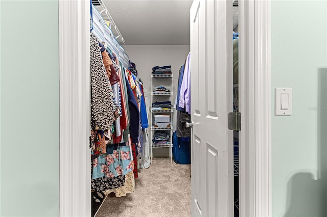 spacious closet featuring light carpet