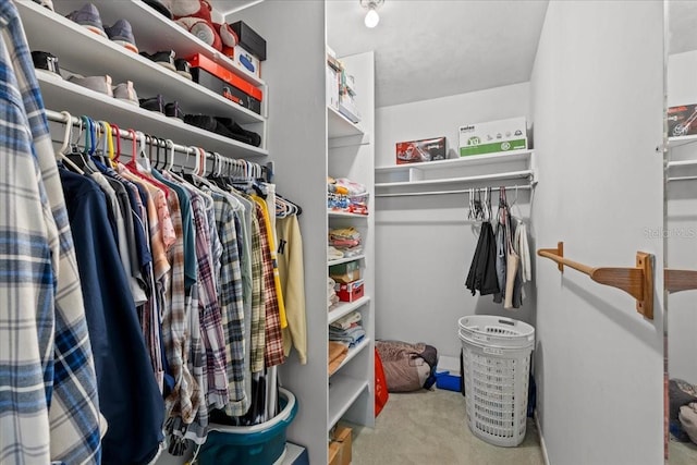 walk in closet featuring carpet floors