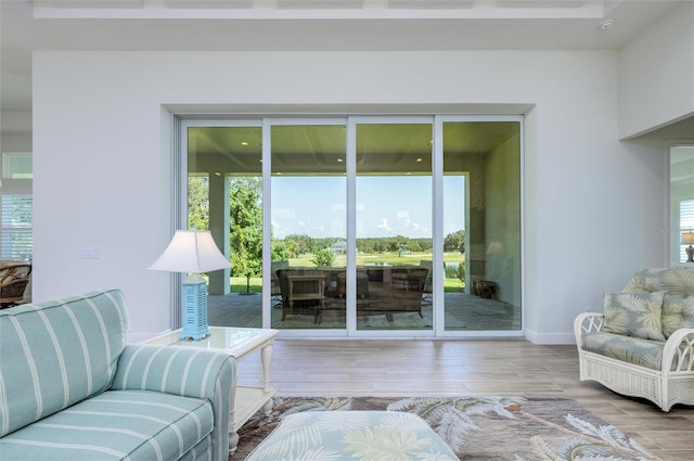 living room featuring hardwood / wood-style flooring and a healthy amount of sunlight