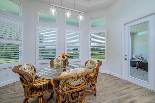 dining area with light hardwood / wood-style flooring and a healthy amount of sunlight