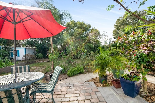 view of patio / terrace with a storage shed