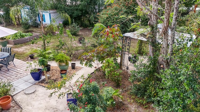 view of yard with a patio area