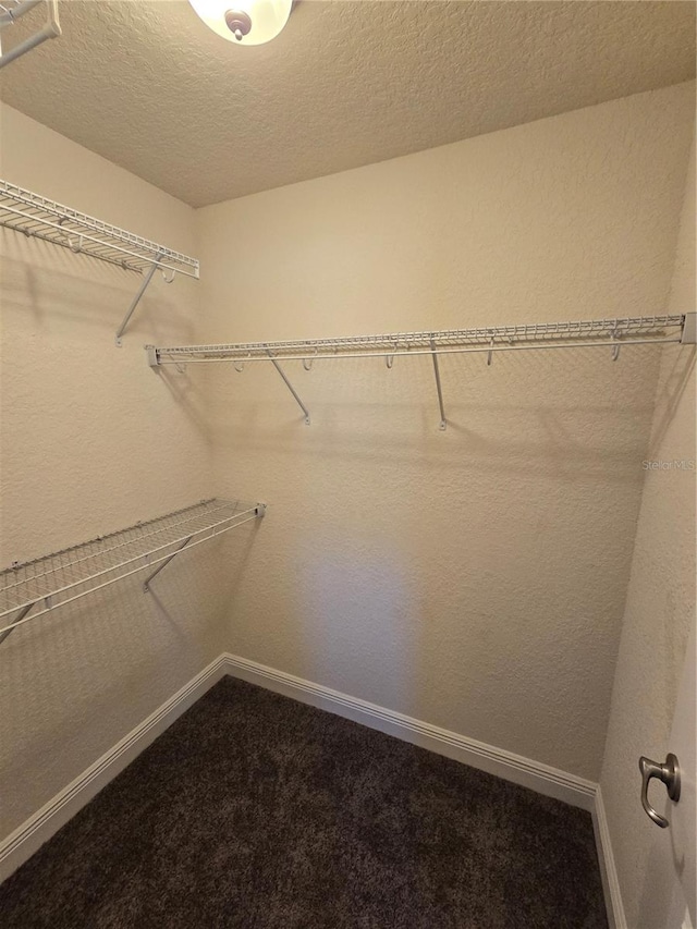 walk in closet with carpet floors