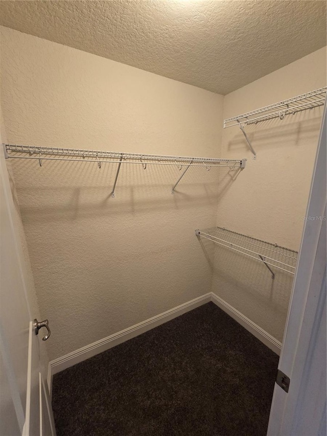 spacious closet featuring carpet