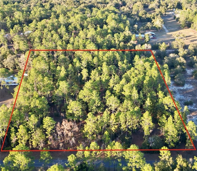 Listing photo 2 for TBD SW 97th St, Dunnellon FL 34432