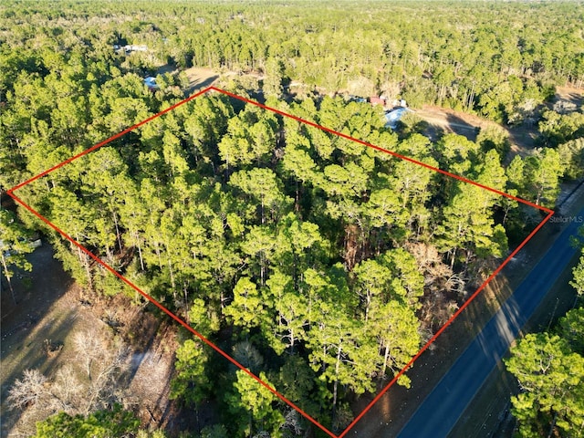 TBD SW 97th St, Dunnellon FL, 34432 land for sale