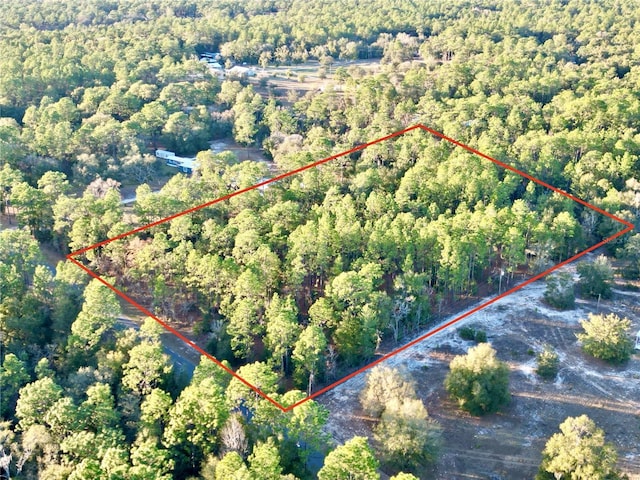 Listing photo 3 for TBD SW 97th St, Dunnellon FL 34432