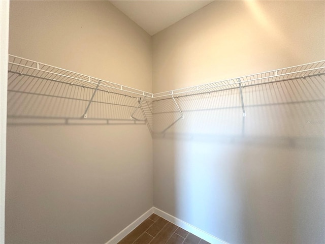 spacious closet featuring dark wood-style floors