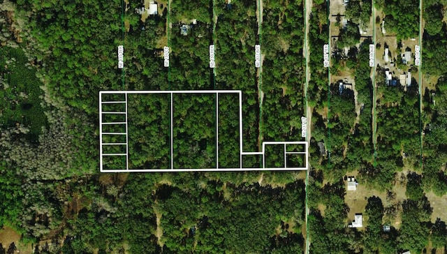 Tbd NE, Fort Mc Coy FL, 32134 land for sale