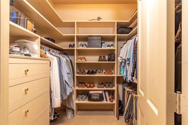 spacious closet with carpet flooring