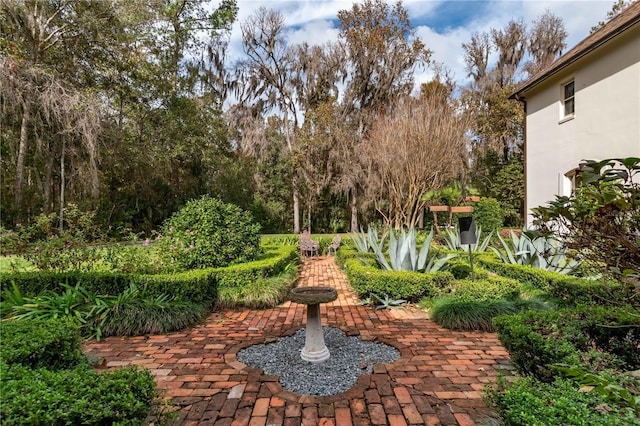 view of yard with a patio