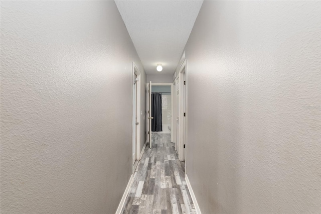 corridor with light hardwood / wood-style flooring