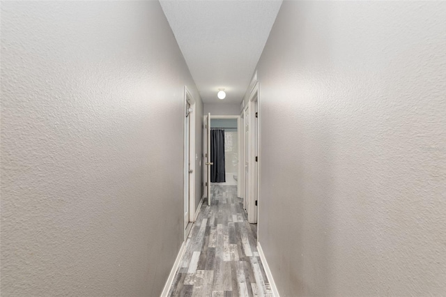 20390 SW 57th St, Dunnellon, FL 34431 - corridor with wood finished floors and baseboards