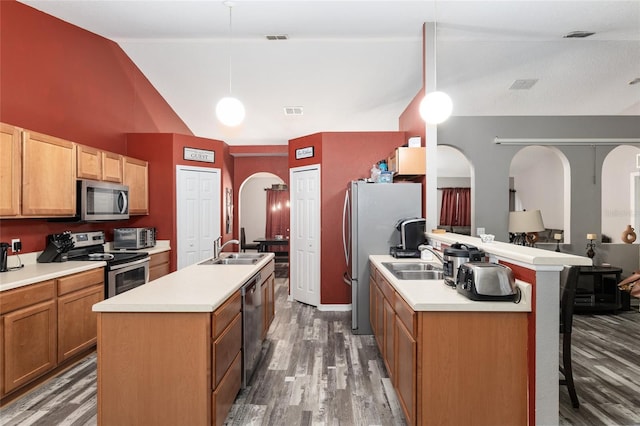 20390 SW 57th St, Dunnellon, FL 34431 - kitchen featuring stainless steel appliances, a sink, vaulted ceiling, a kitchen island with sink, and arched walkways