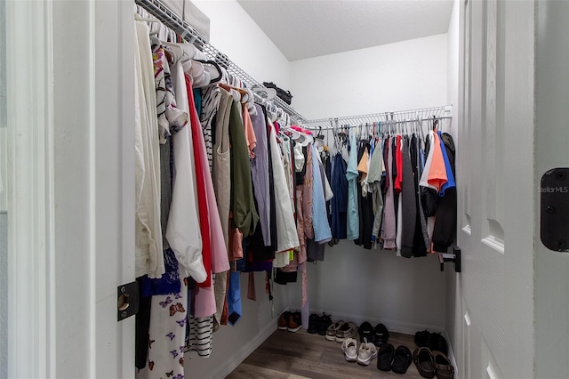 17023 SW 41st Avenue Rd, Ocala, FL 34473 - walk in closet with hardwood / wood-style flooring