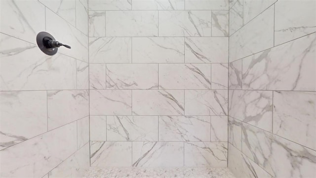 interior details featuring tiled shower