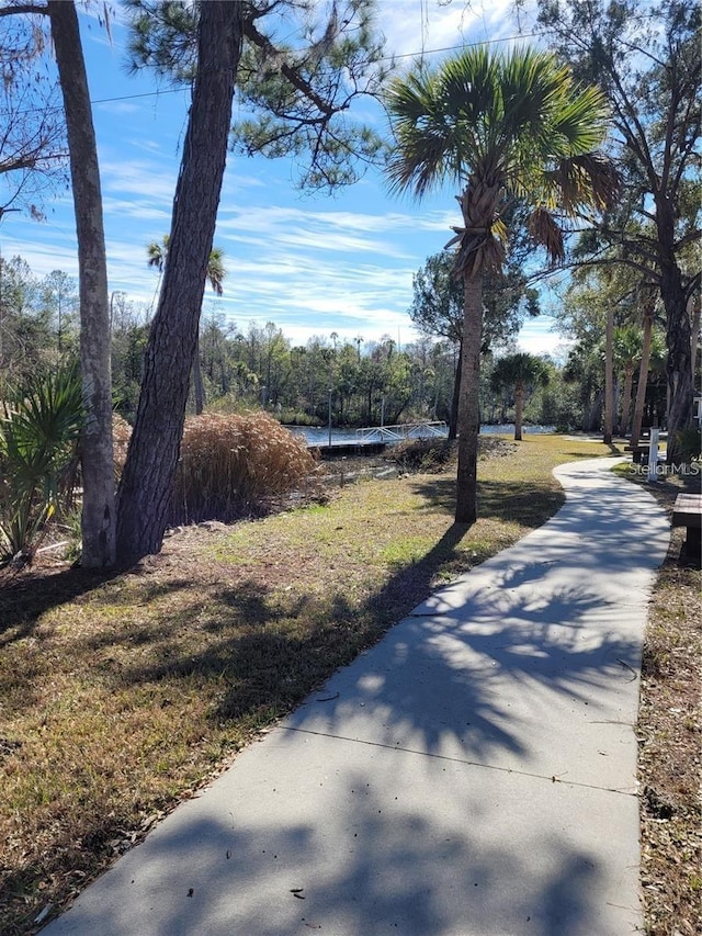 Listing photo 3 for 0 River Bend Way, Steinhatchee FL 32359