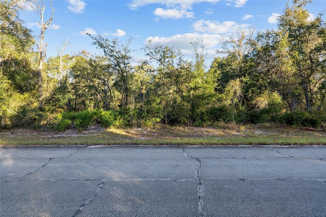 TBD SW 174th Pl, Ocala FL, 34473 land for sale