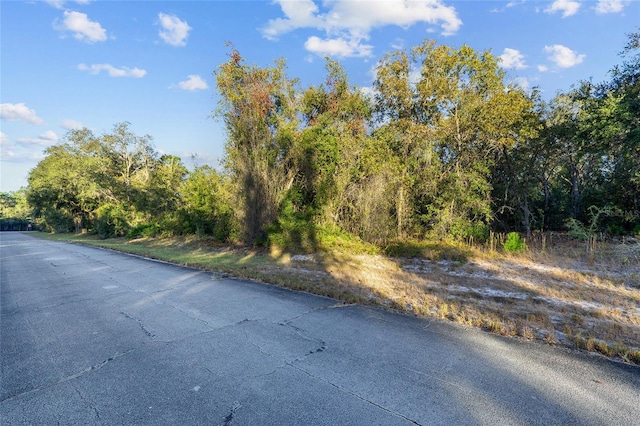 Listing photo 2 for TBD SW 174th Pl, Ocala FL 34473