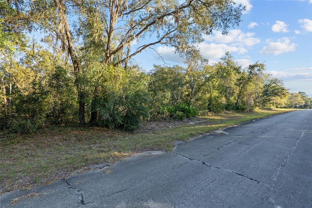 Listing photo 3 for TBD SW 174th Pl, Ocala FL 34473