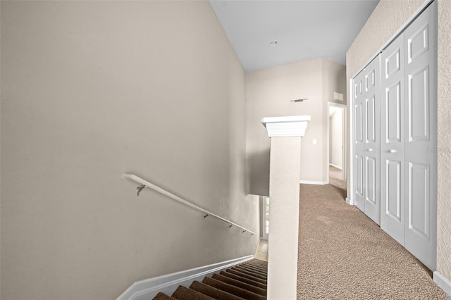 staircase with carpet floors