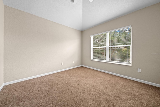 spare room with carpet and a textured ceiling