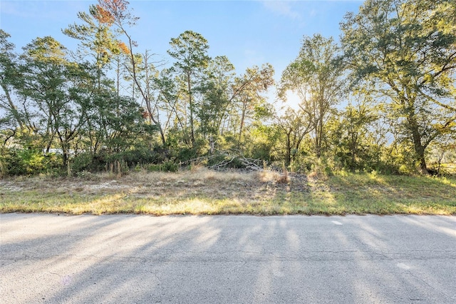 TBD SW 31st Ct, Ocala FL, 34473 land for sale