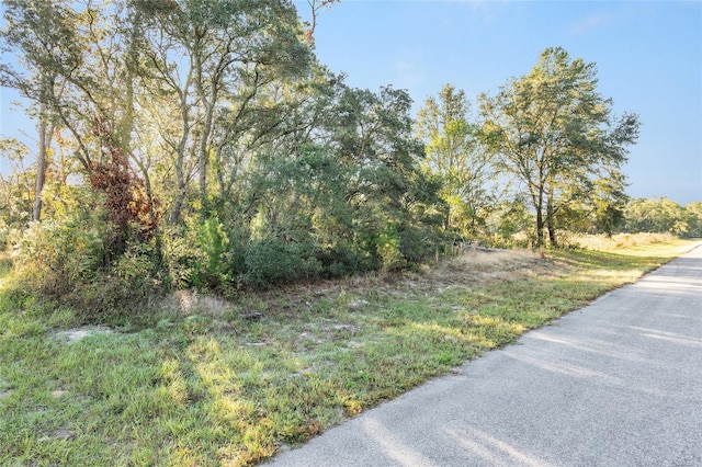 Listing photo 2 for TBD SW 31st Ct, Ocala FL 34473