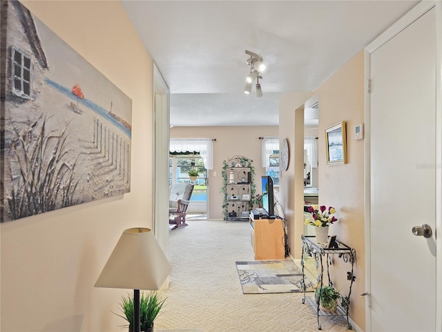 hallway featuring light carpet