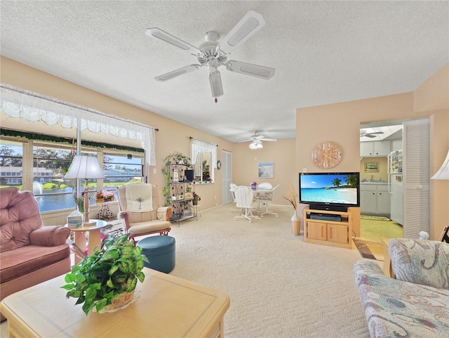 carpeted living room featuring a textured ceiling