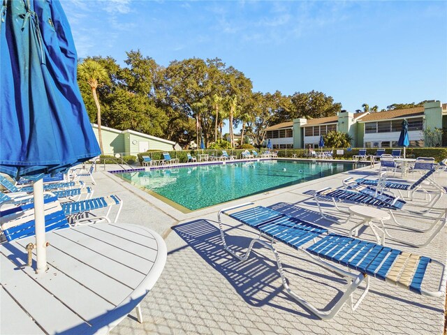 view of pool featuring a patio area