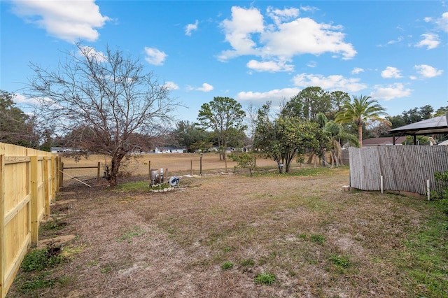 view of yard with a rural view